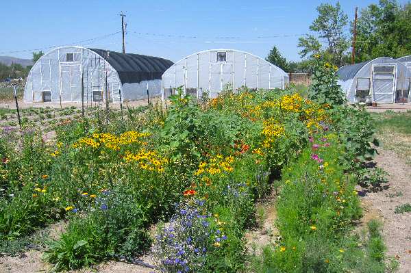 Hoop Houses