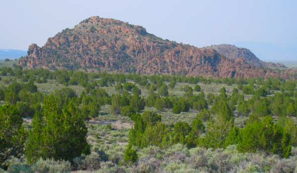 Rattlesnake Mountain