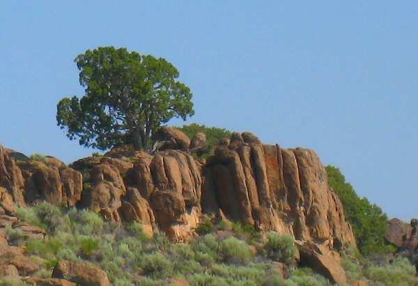 Rattlesnake Mountain