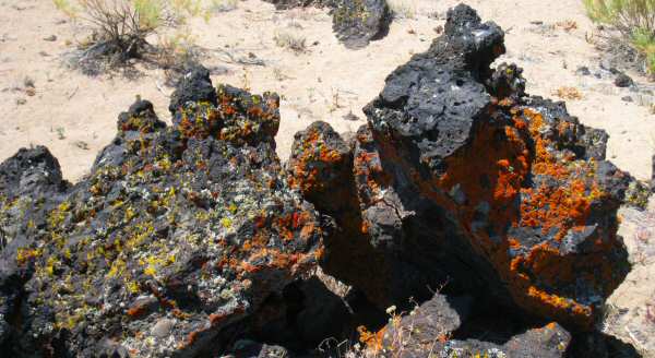 Black Rock Lava Flow