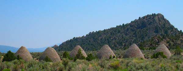 Ward Charcoal Ovens