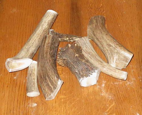 Antler Blanks