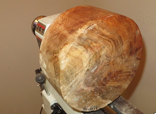 Spalted Maple