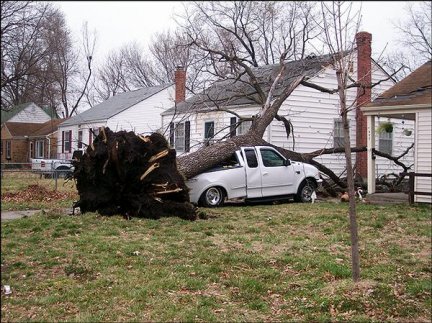 Lawrence Storm