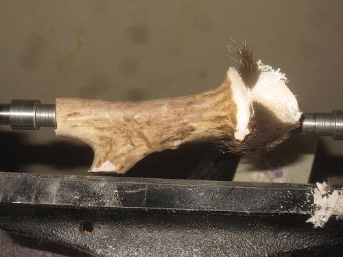 Antler Stub