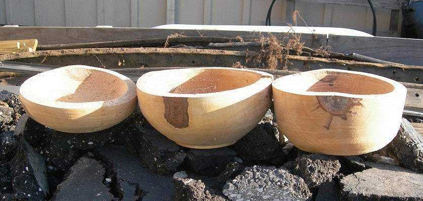 Three Sweet Gum Roughed Out Bowls